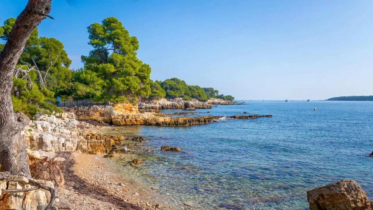Ideal Pied A Terre Proche Cannes & Sophia, Parking 穆然 0*,